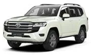 Toyota Эва-коврики на Toyota Land Cruiser 300 2021 -